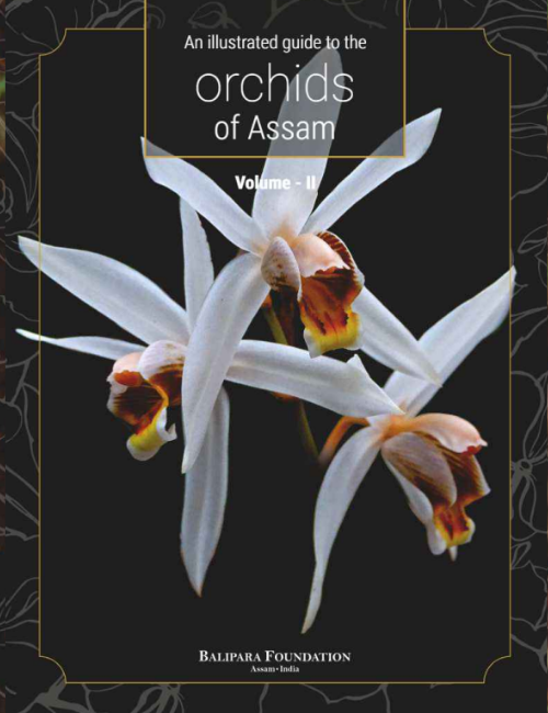 An illustrated guide to the orchids of Assam