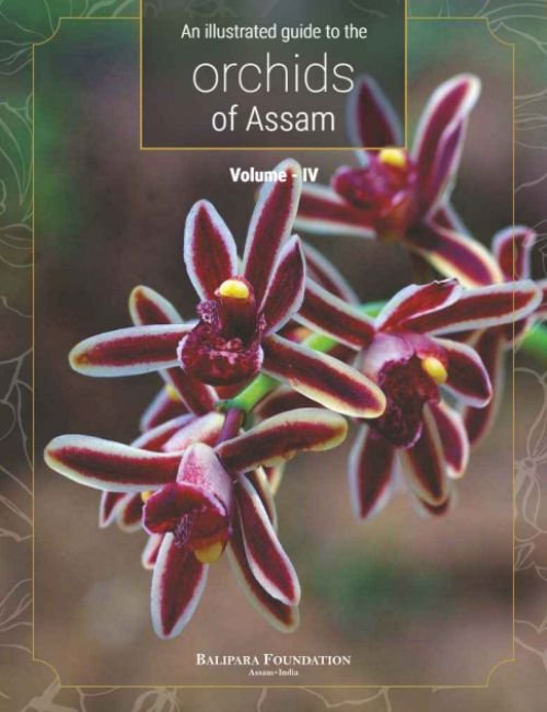 An illustrated guide to the orchids of Assam
