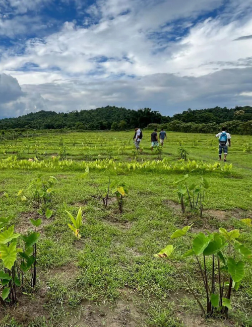 IIT Guwahati partners with Balipara Foundation for Eastern Himalayan Naturenomics Forum 2025