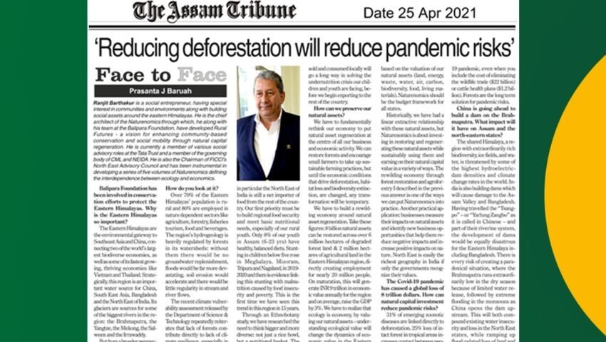 Reducing deforestation will reduce pandemic risks