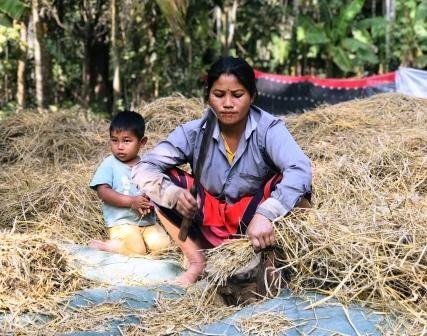 Agroforestry for Ecosystem Resilience and Rural Livelihoods