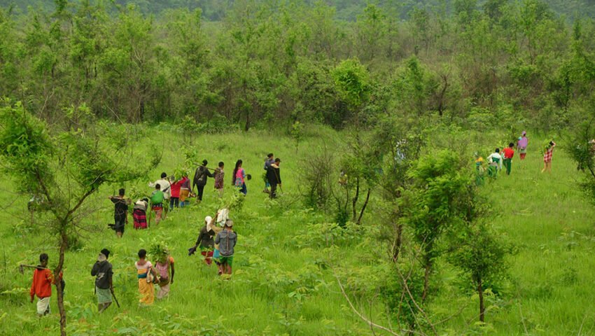 ANI : ‘Great People’s Forest – Reforestation drive to plant 1 billion trees in Eastern Himalayas