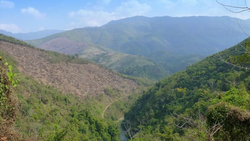 AI for Ancestral Forests: Data meets tradition in the Eastern Himalayas