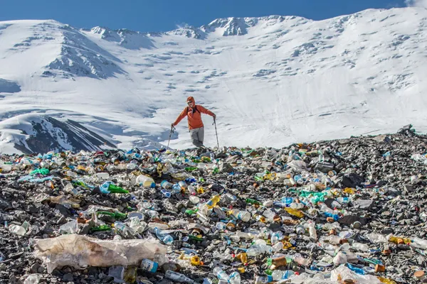 Turning Plastic Waste into Forest Wealth: A Vital Mission for the Eastern Himalayan Region