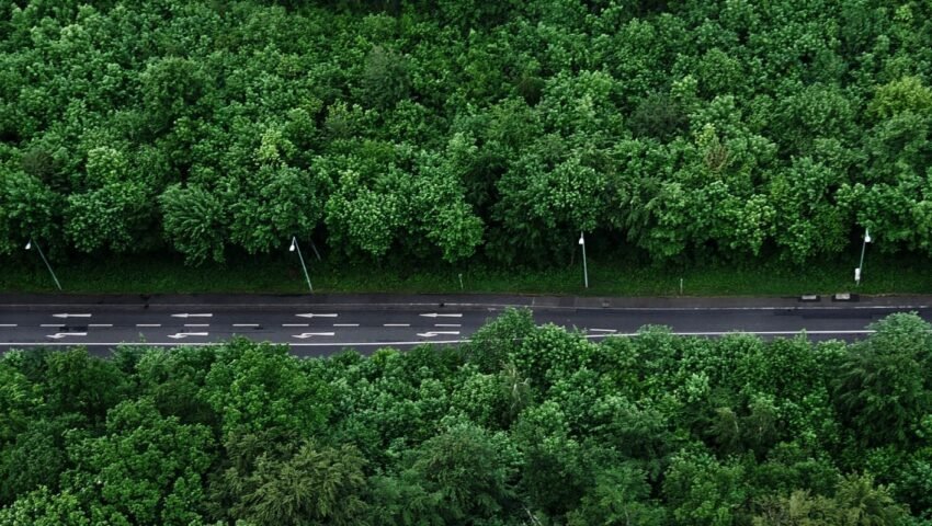 Save our lungs, save our heart – save Dehing Patkai (The Arunachal Times)