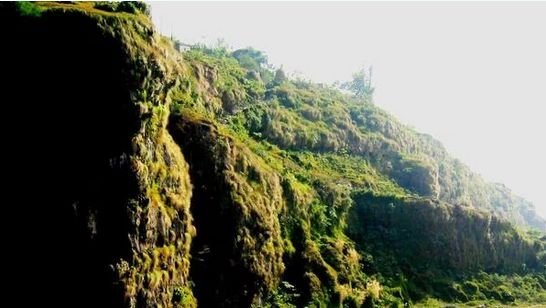 Live Mint : Great People’s Forest initiative to raise $1 bn for reforestation in Eastern Himalayas