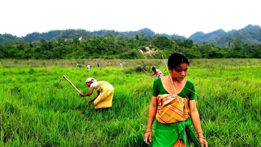 Boosting Rural Employment with Green Entrepreneurship Models