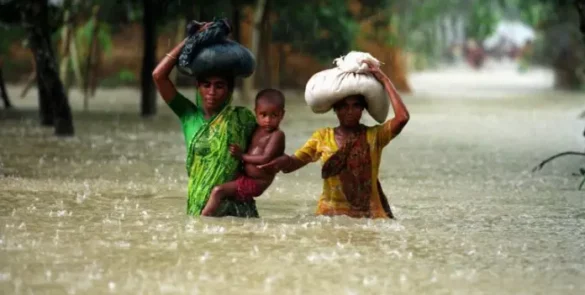 The Environment : Building resilience and managing climate risks key factors to fight extreme weather events: Opinion