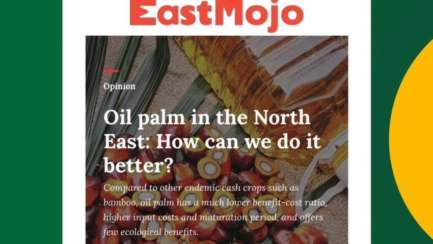 East Mojo – Oil palm in the Northeast: Can we do it better?