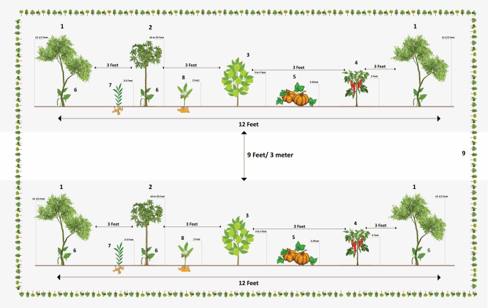 किसानों की आय बढ़ाने में मददगार एग्रो-फॉरेस्‍ट्री का ‘खाद्य वन’ मॉडल