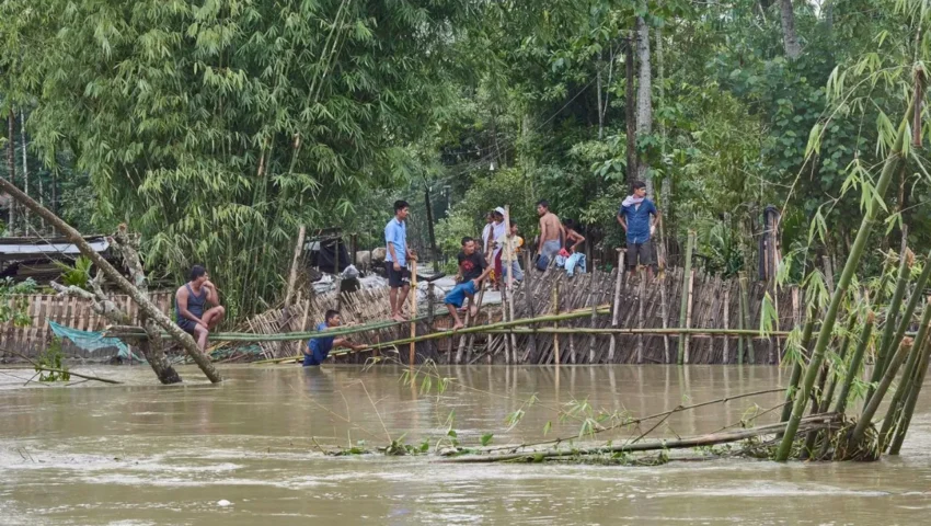 Fighting Floods with Forests: How Assam Communities Are Leading Way
