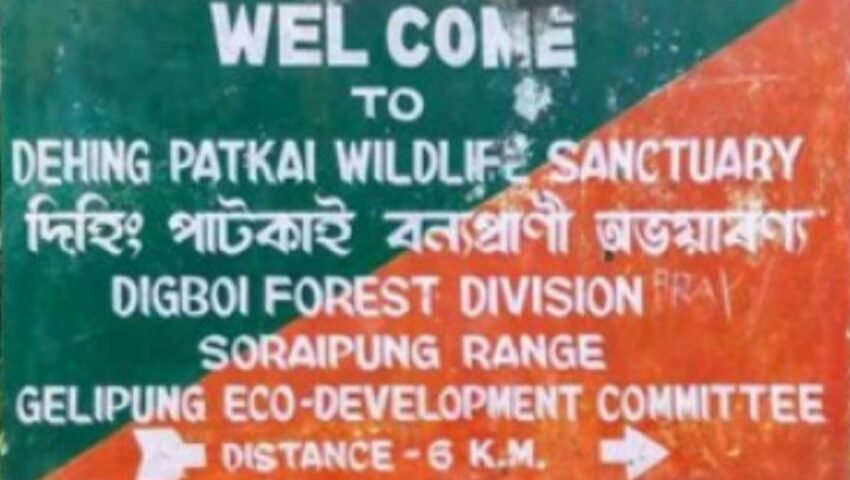 Save Our Lungs, Save Our Heart – Save Dehingpatkai (Sikkim Express)