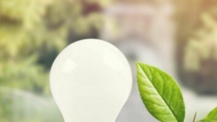 Role Of Startups In Ecological & Financial Growth In A Pandemic-Hit World