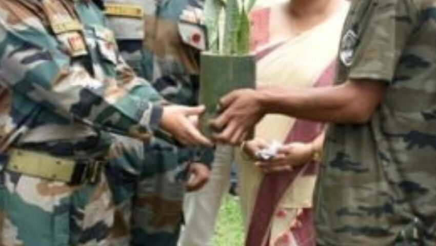 Balipara residents plant three lakh saplings in 30 minutes