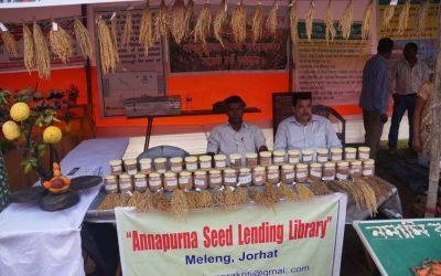 New Internationalist – Old School Adaptation