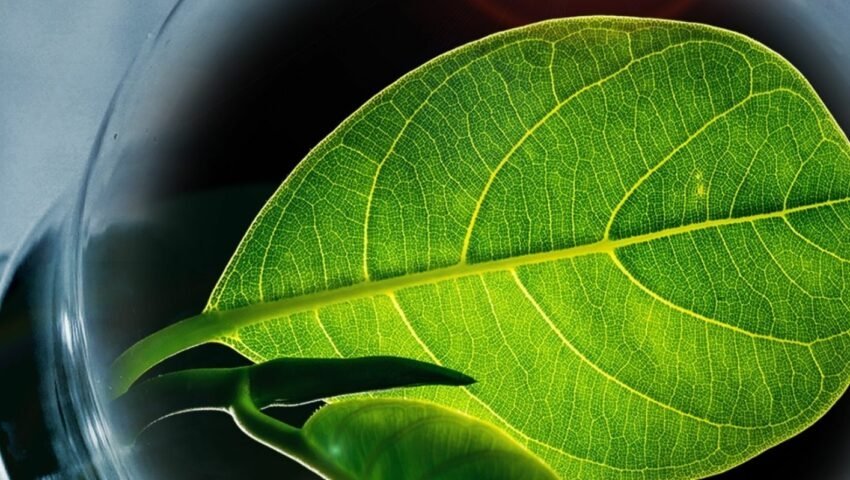 Triple Bottom Line In Business: People, Planet, Profit