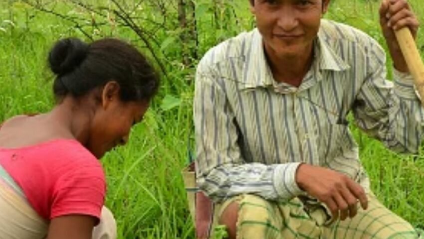 How this organisation is using Naturenomics to uplift livelihoods in the eastern Himalayas