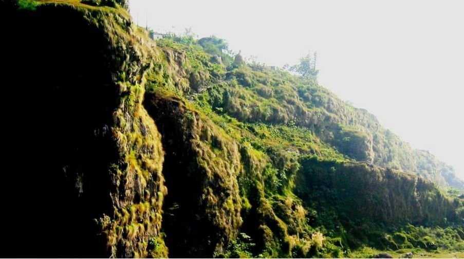 Bangladesh Post : Great People’s Forest Initiative in South Asia