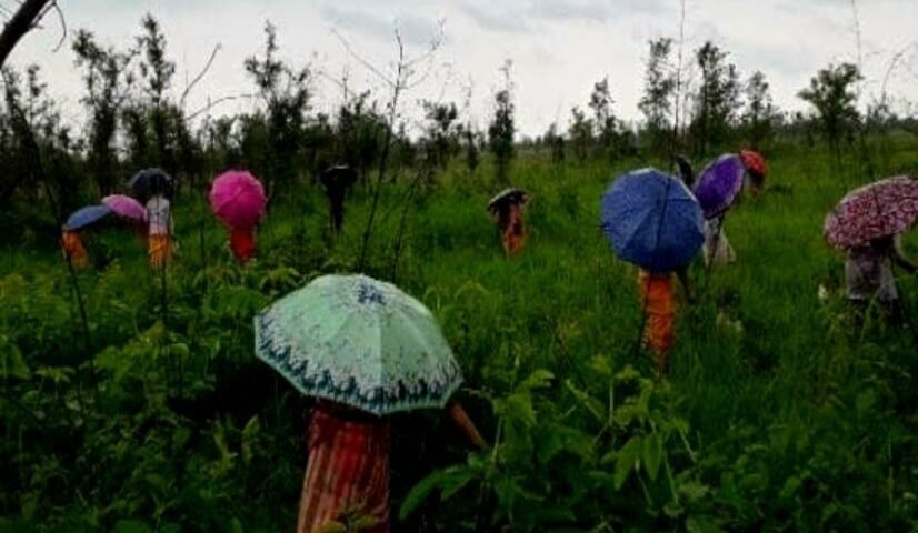 101 Reporters: Interview with Saurav Malhotra: Bringing back forests, one village at a time